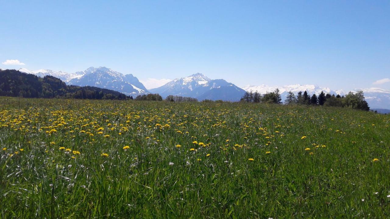Hoamelig Batschuns Exterior foto